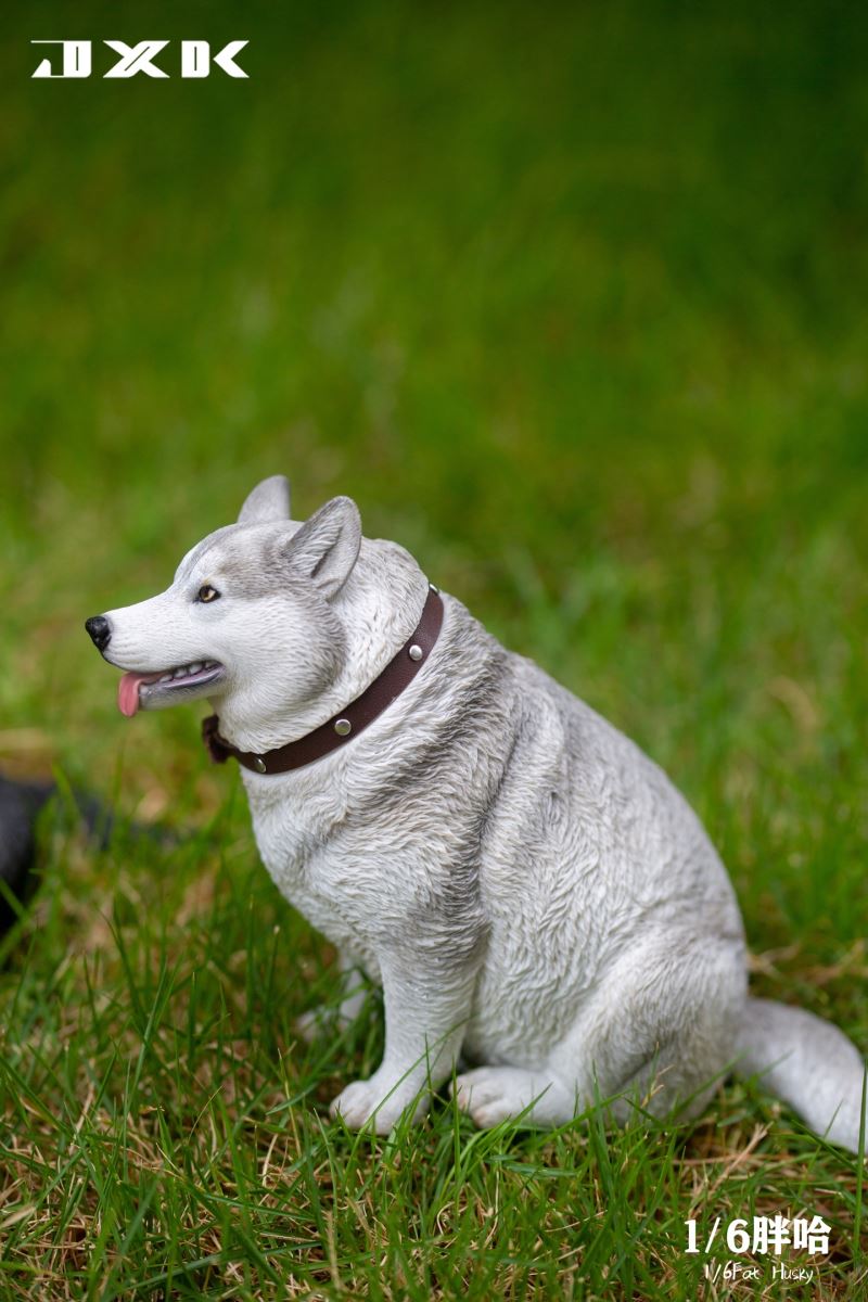 Fat Husky 1/6
