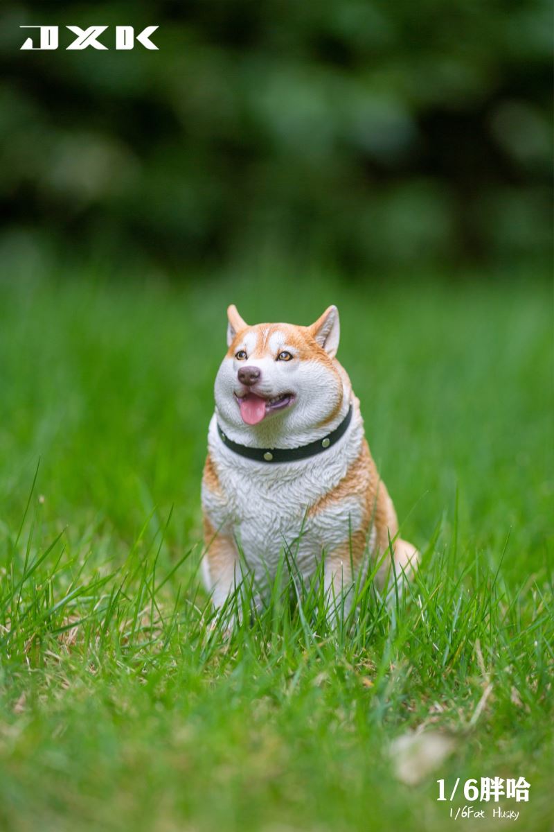 Fat Husky 1/6