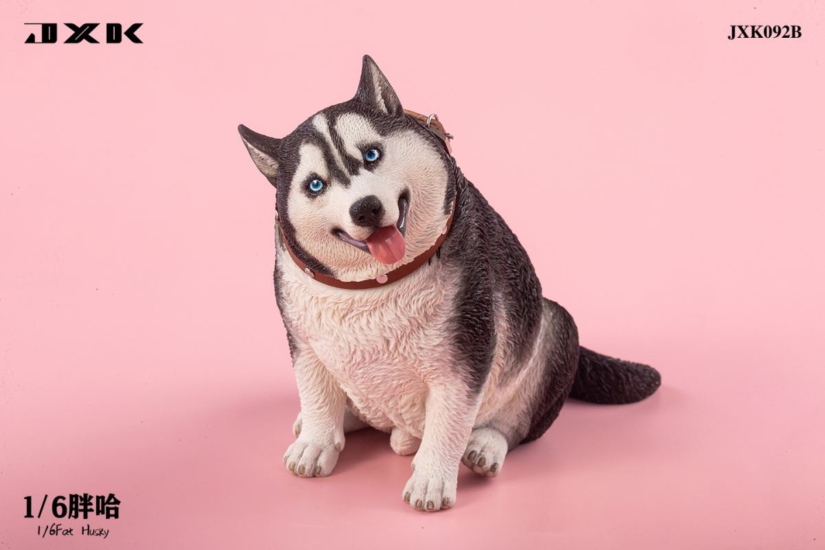 Fat Husky 1/6
