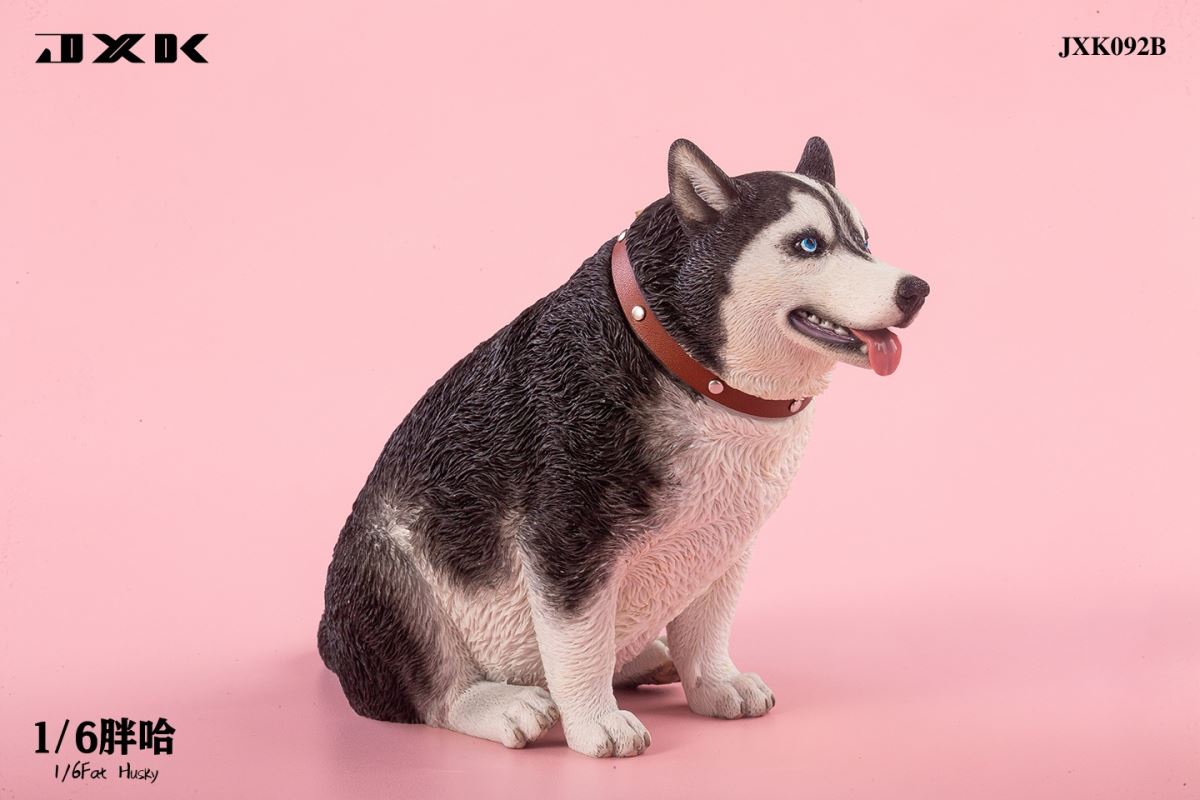 Fat Husky 1/6