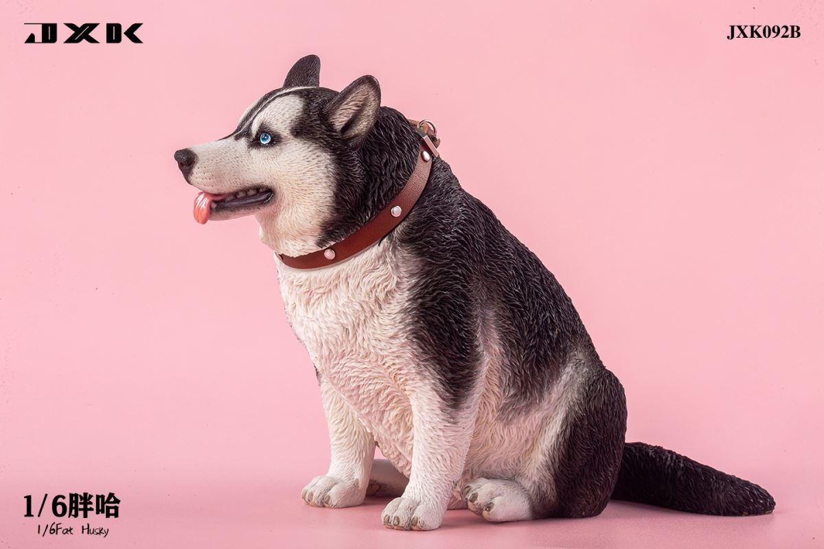Fat Husky 1/6