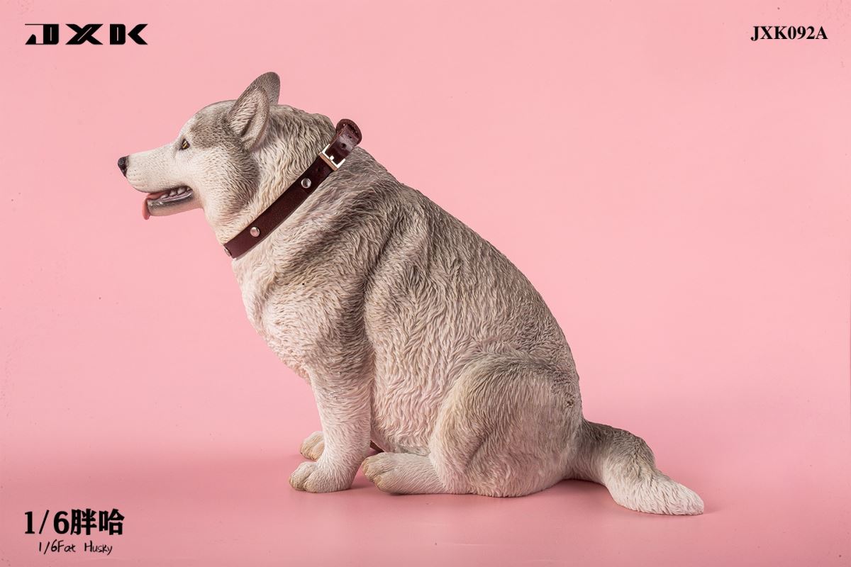 Fat Husky 1/6