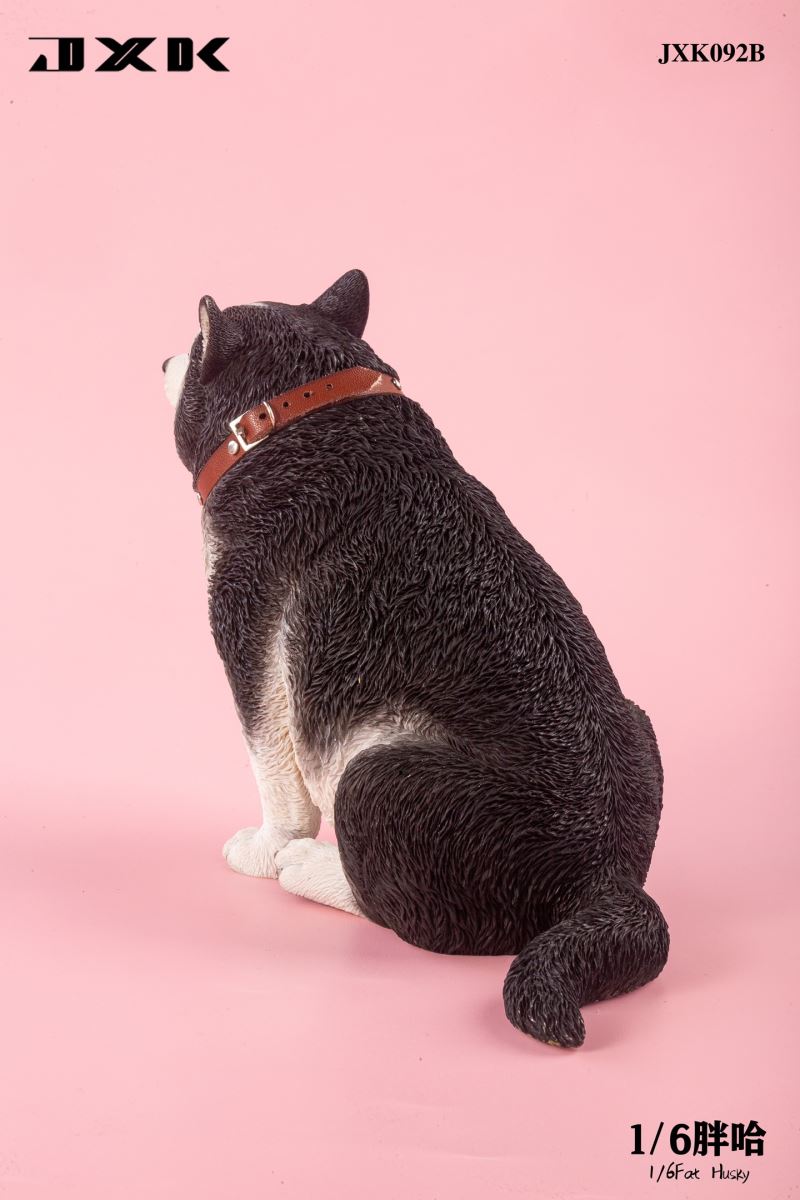 Fat Husky 1/6