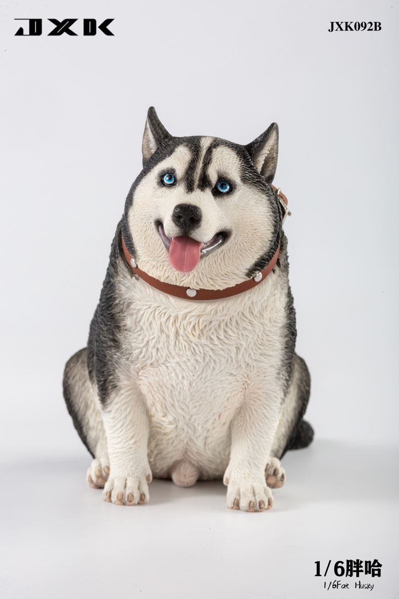 Fat Husky 1/6