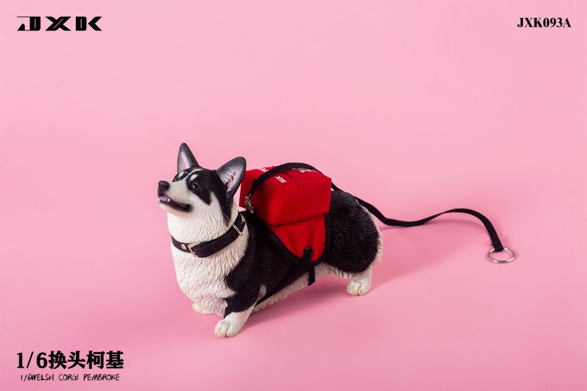 Welsh Corgi Pembroke 1/6
