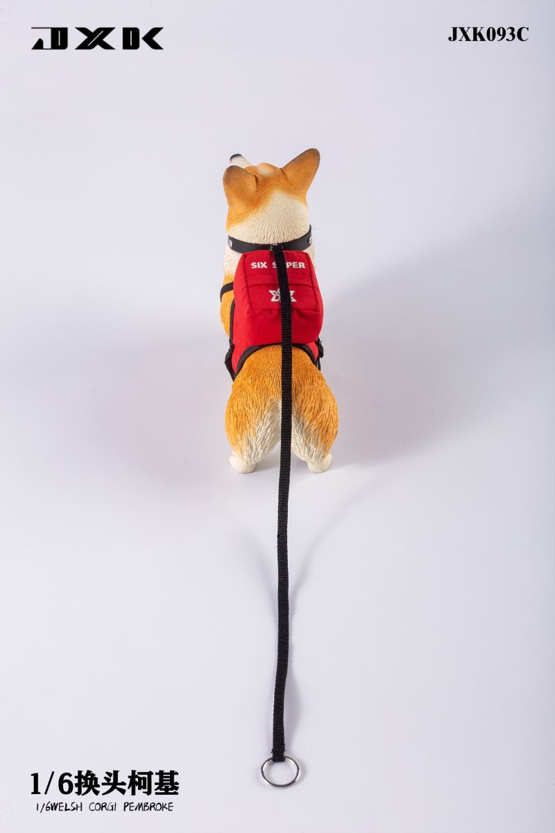 Welsh Corgi Pembroke 1/6
