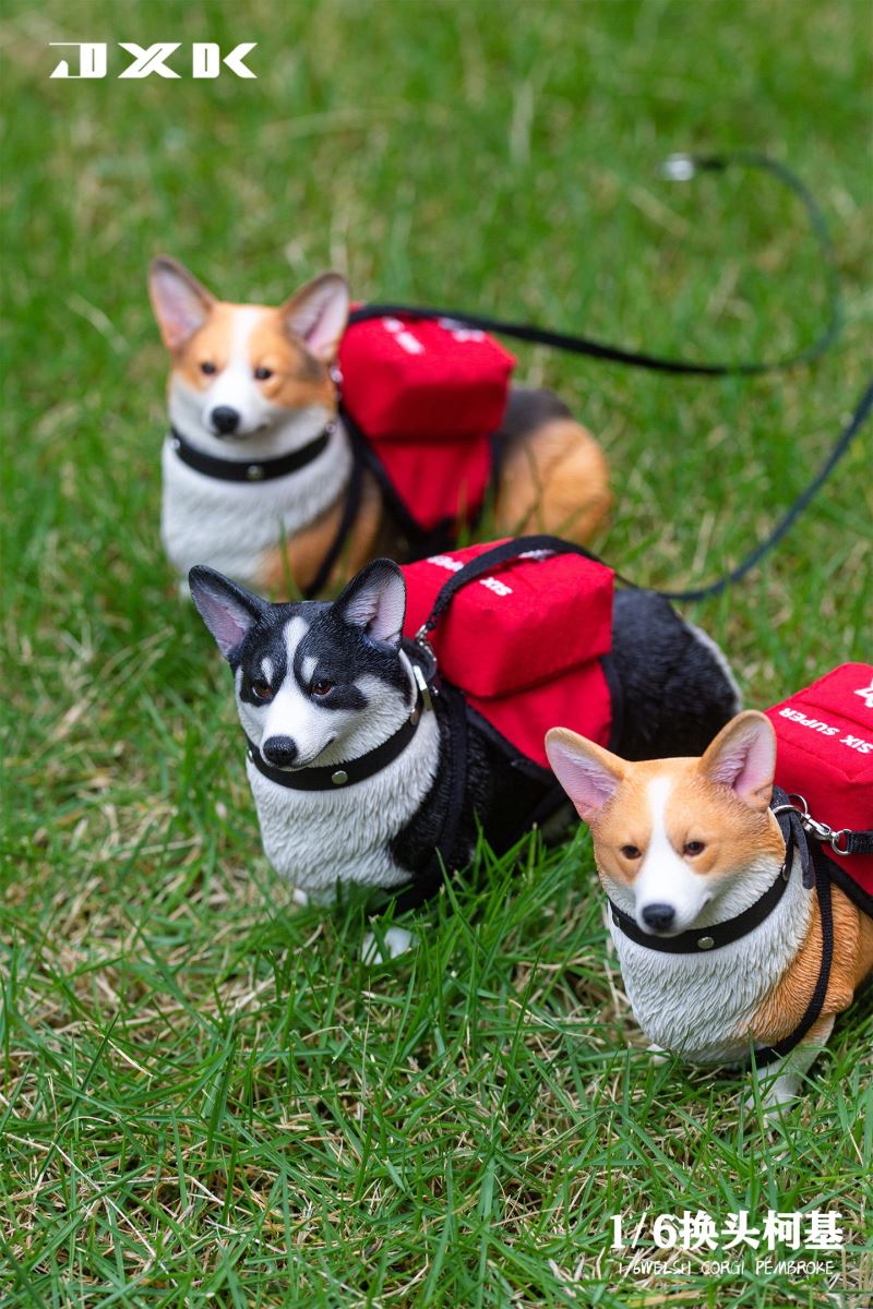 Welsh Corgi Pembroke 1/6