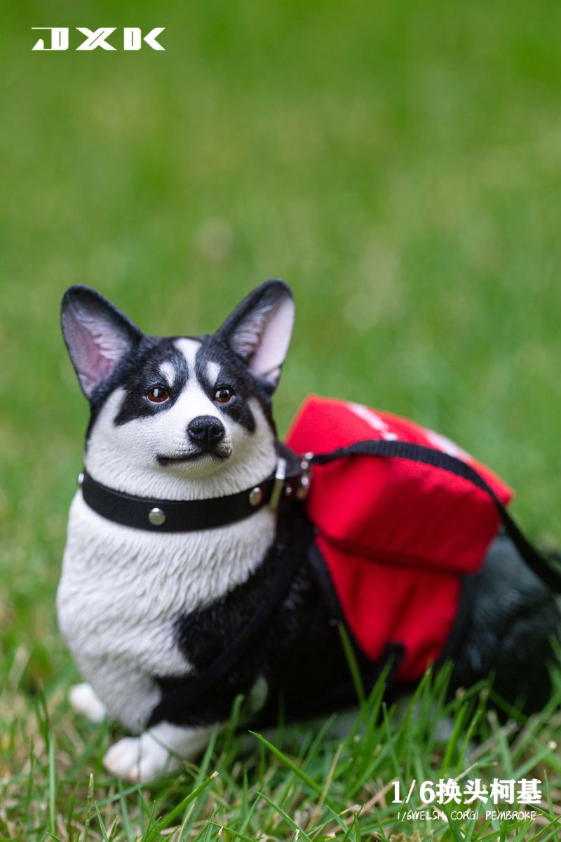 Welsh Corgi Pembroke 1/6