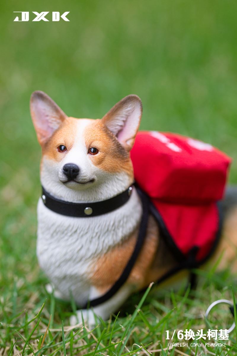 Welsh Corgi Pembroke 1/6