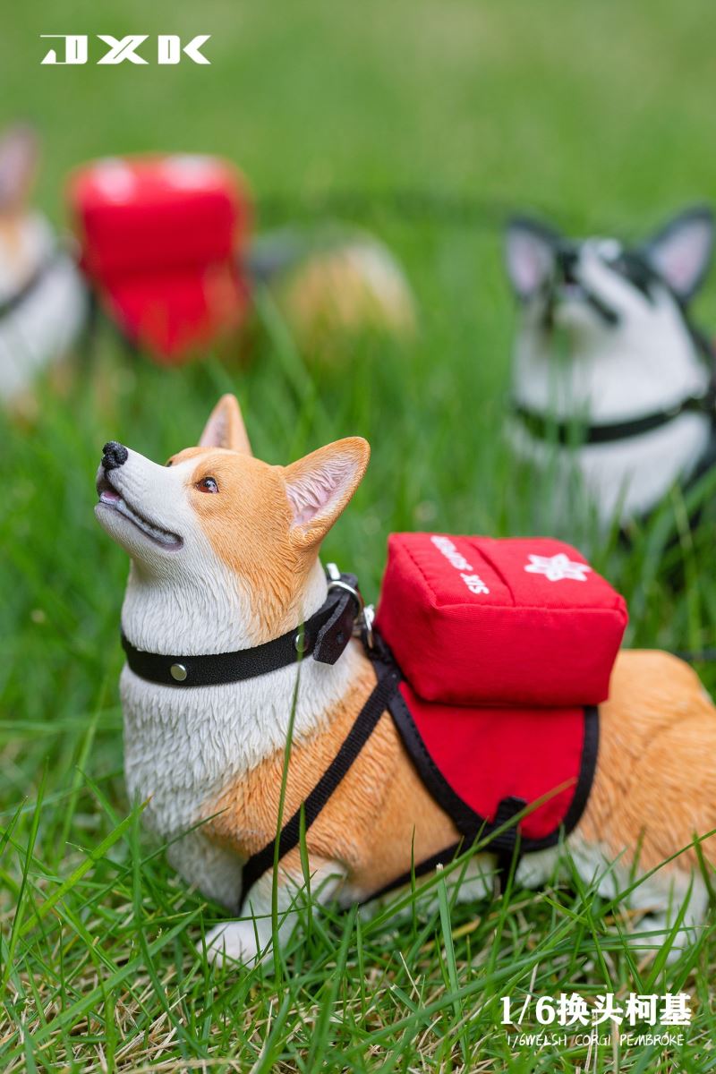 Welsh Corgi Pembroke 1/6