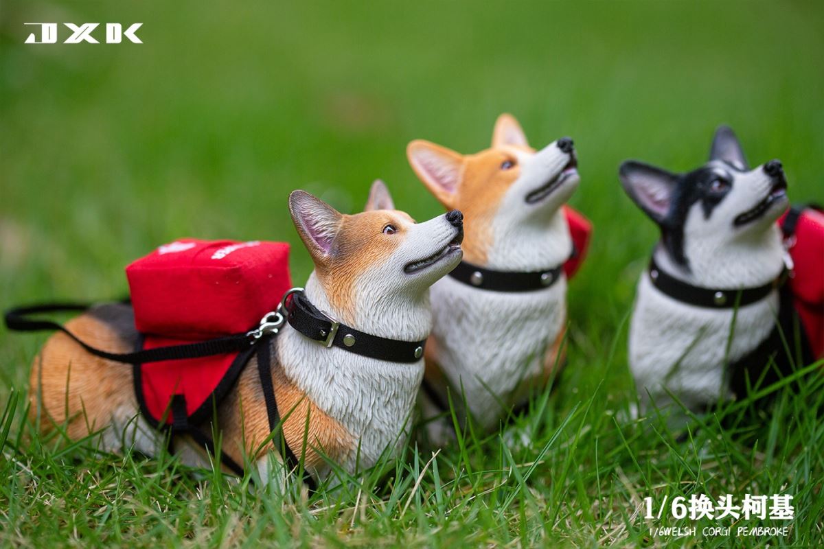 Welsh Corgi Pembroke 1/6