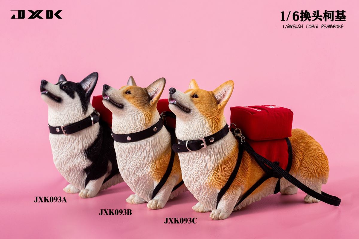 Welsh Corgi Pembroke 1/6
