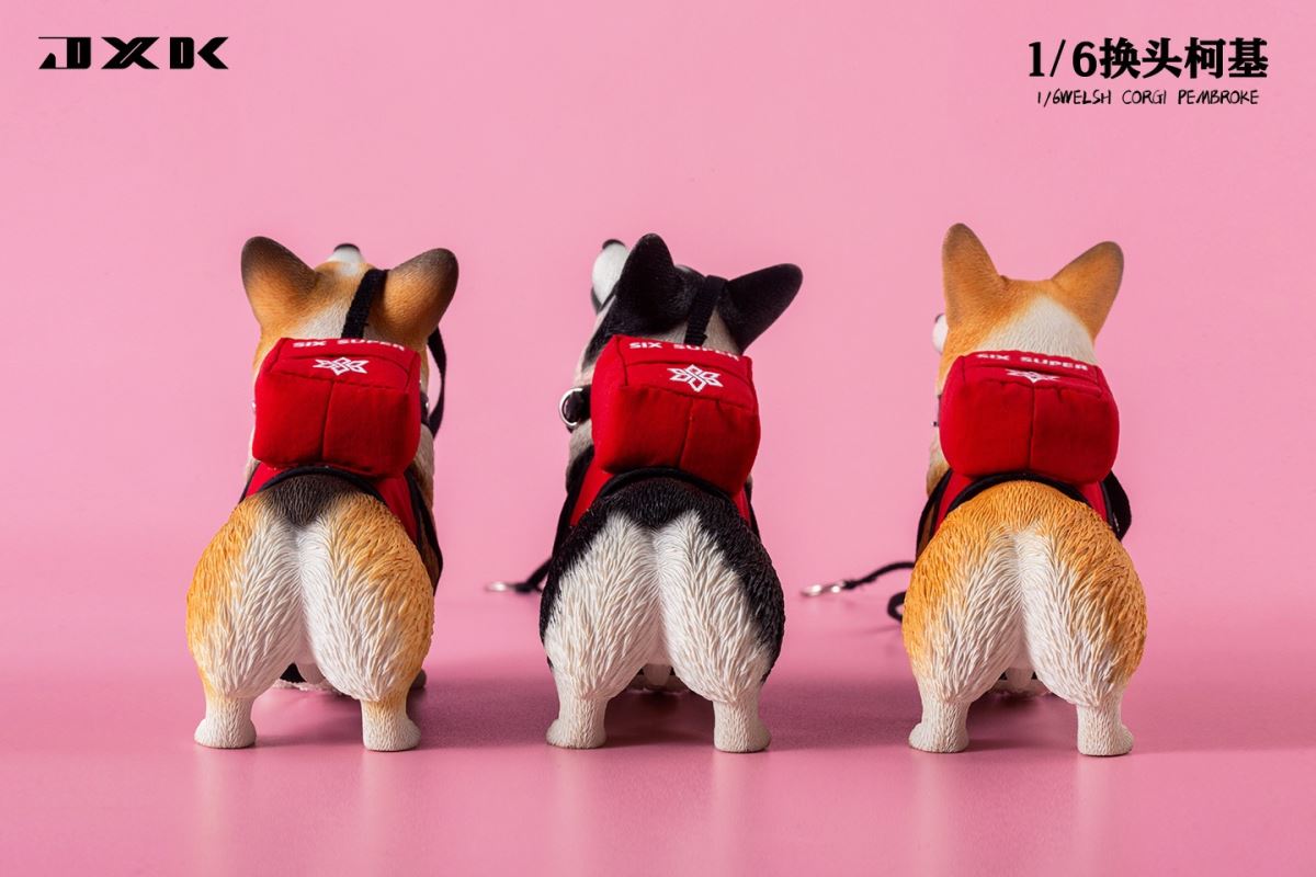 Welsh Corgi Pembroke 1/6