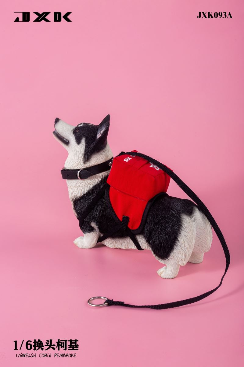 Welsh Corgi Pembroke 1/6