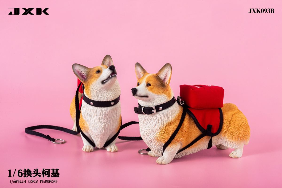 Welsh Corgi Pembroke 1/6