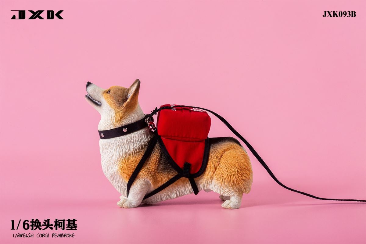 Welsh Corgi Pembroke 1/6