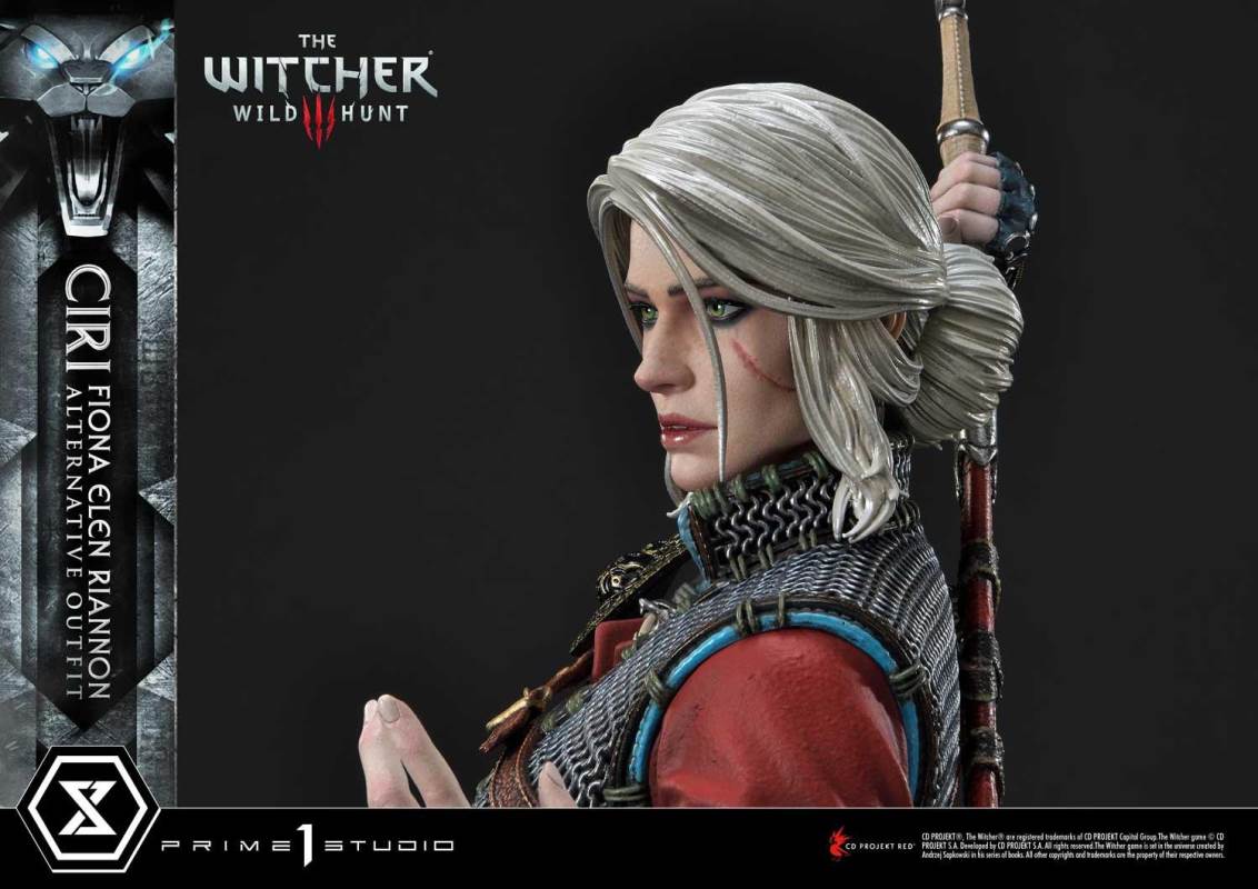 The Witcher 3: Wild Hunt Ciri Fiona Elen Riannon Alternative Outfit DX Version
