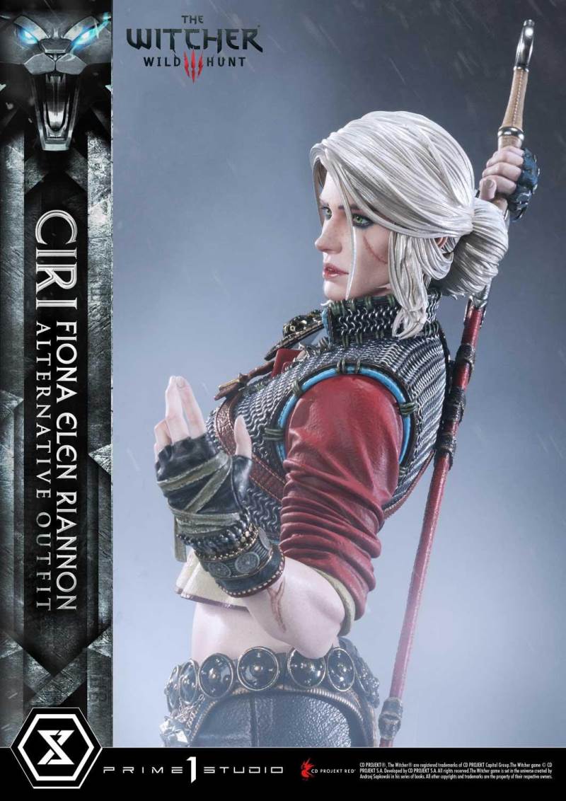 The Witcher 3: Wild Hunt Ciri Fiona Elen Riannon Alternative Outfit DX Version