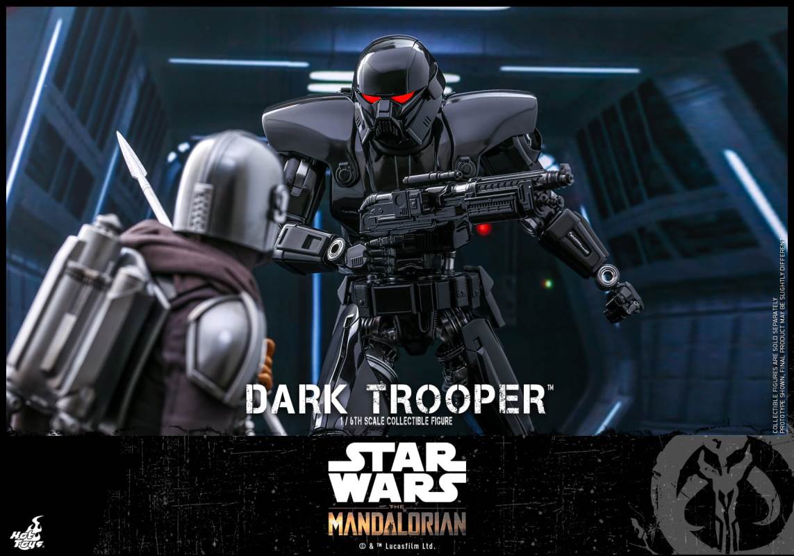 Dark TrooperTM 1/6