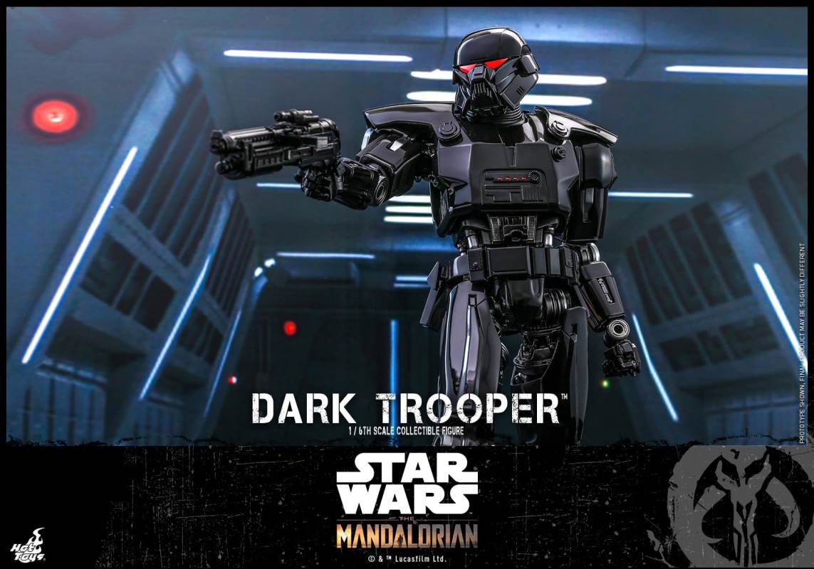 Dark TrooperTM 1/6