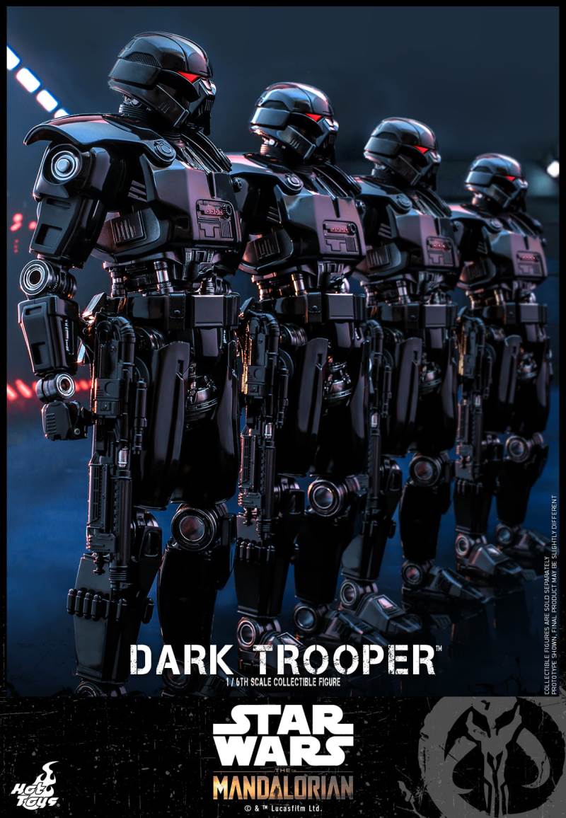 Dark TrooperTM 1/6