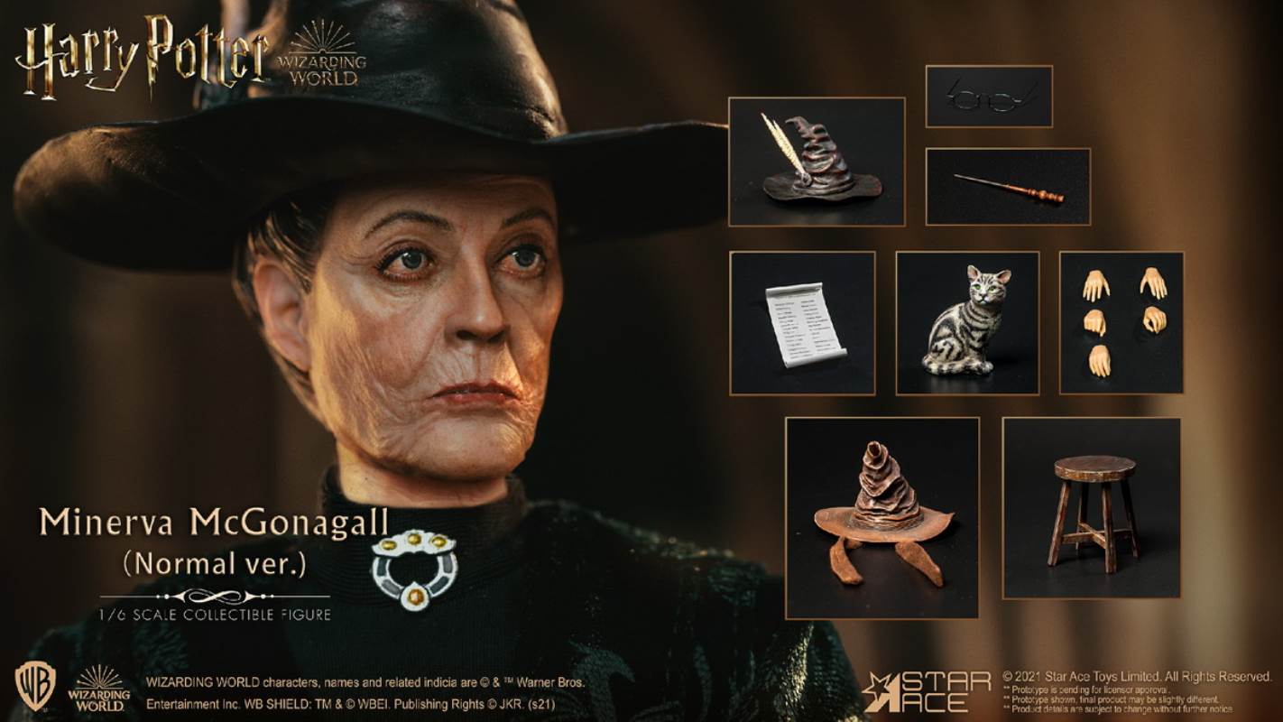 McGonagall (Harry Potter) 1/6
