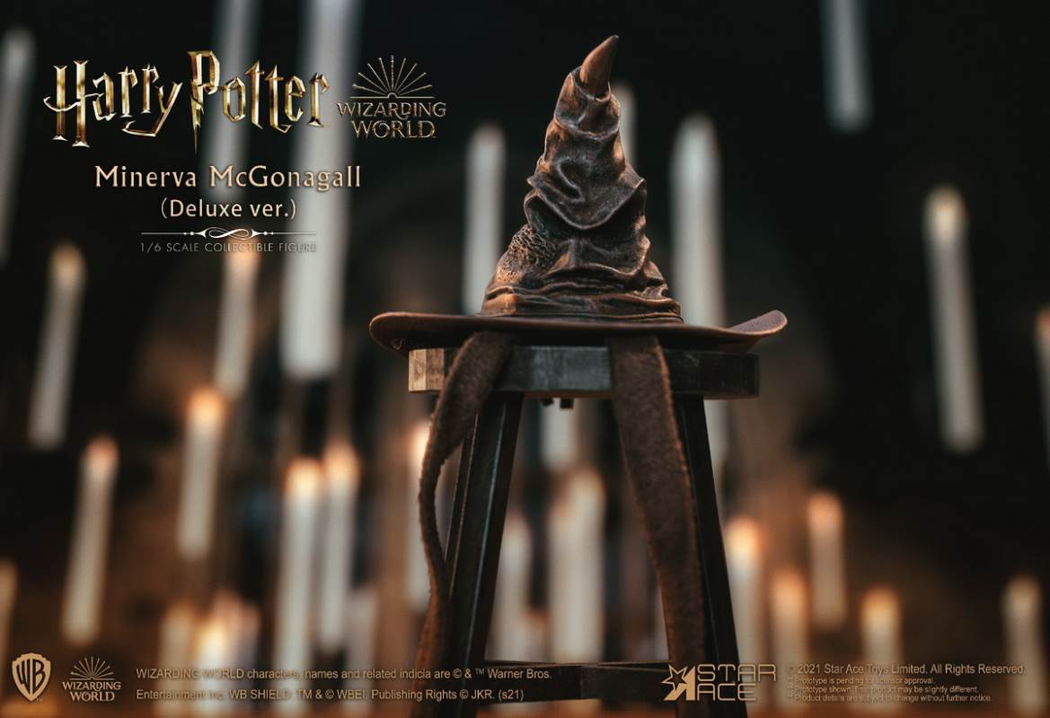 McGonagall (Harry Potter) 1/6