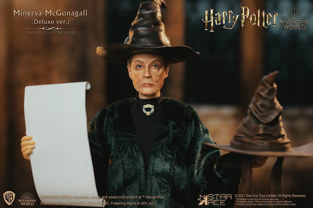McGonagall (Harry Potter) 1/6