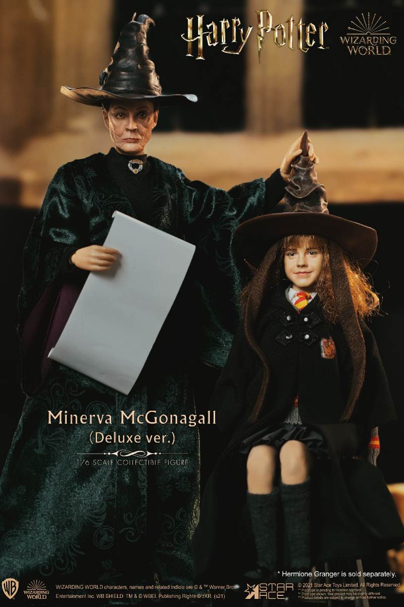 McGonagall (Harry Potter) 1/6