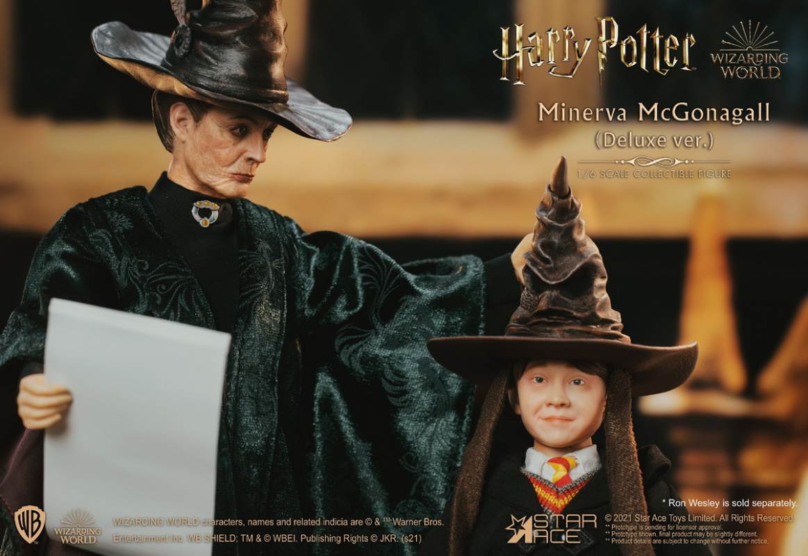 McGonagall (Harry Potter) 1/6
