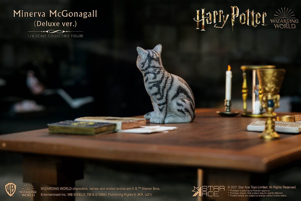 McGonagall (Harry Potter) 1/6