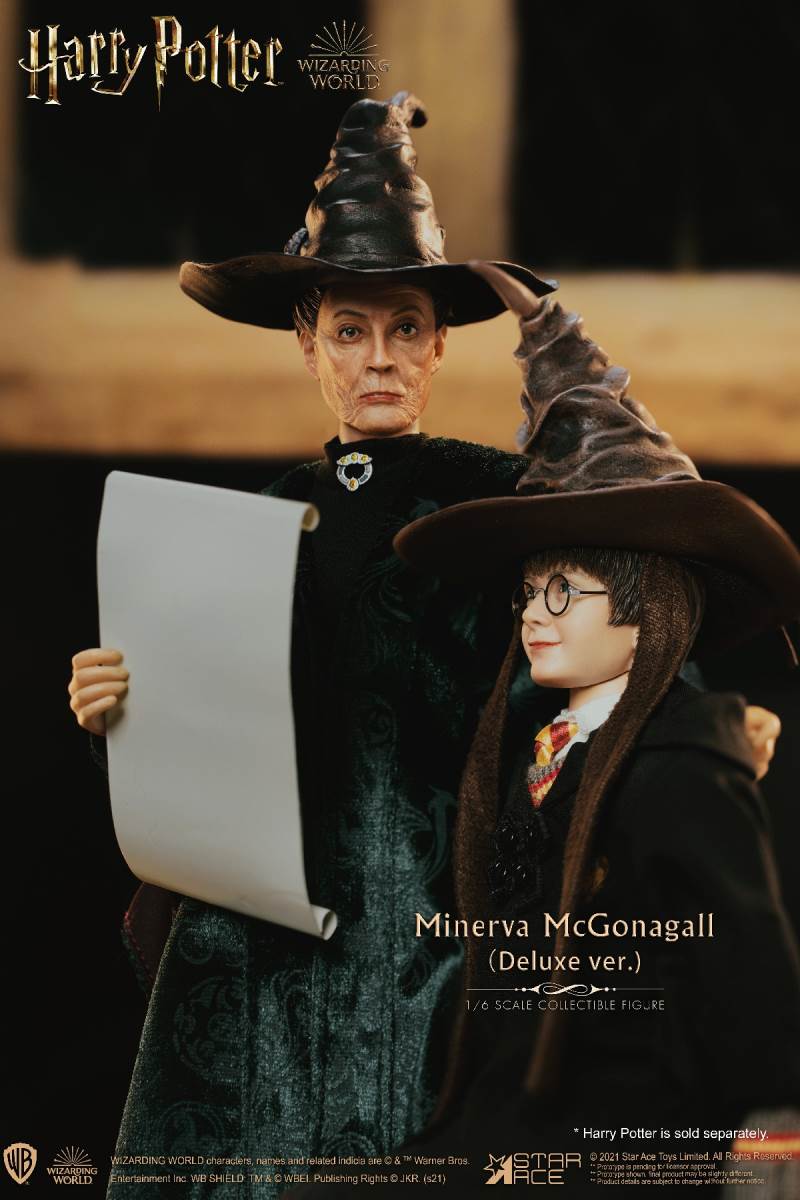 McGonagall (Harry Potter) 1/6