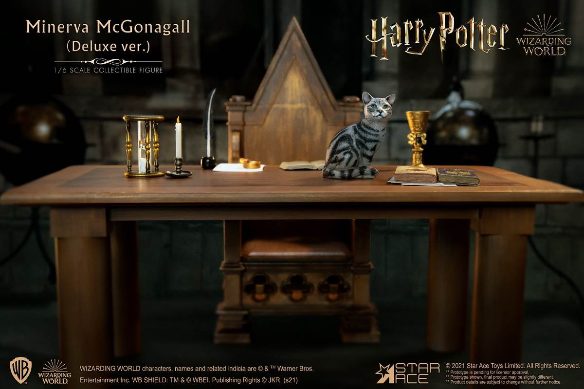 McGonagall (Harry Potter) 1/6