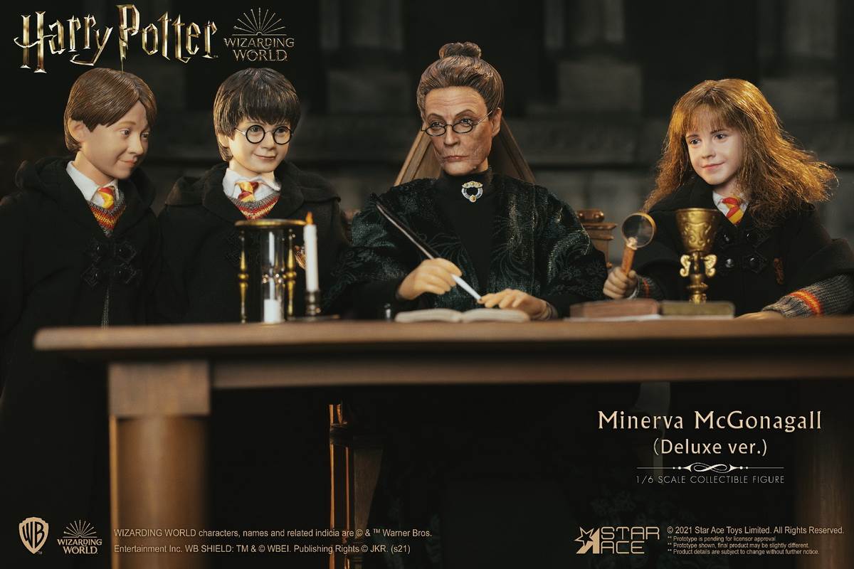 McGonagall (Harry Potter) 1/6