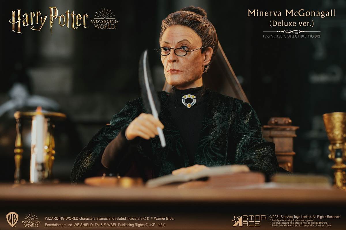 McGonagall (Harry Potter) 1/6