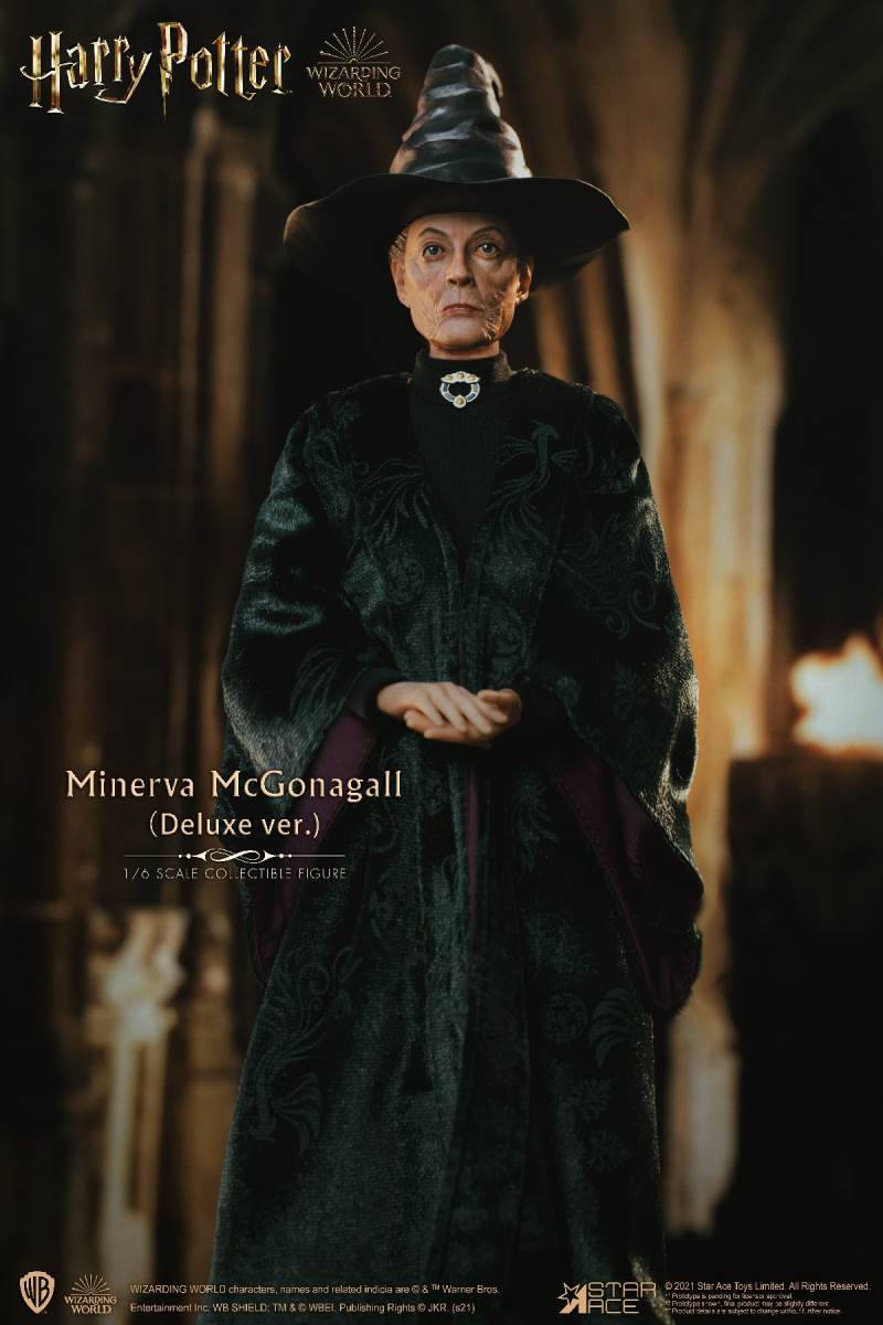 McGonagall (Harry Potter) 1/6