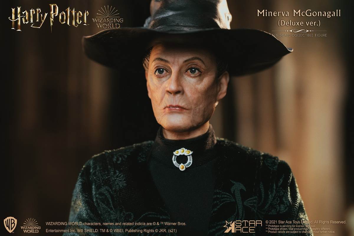McGonagall (Harry Potter) 1/6