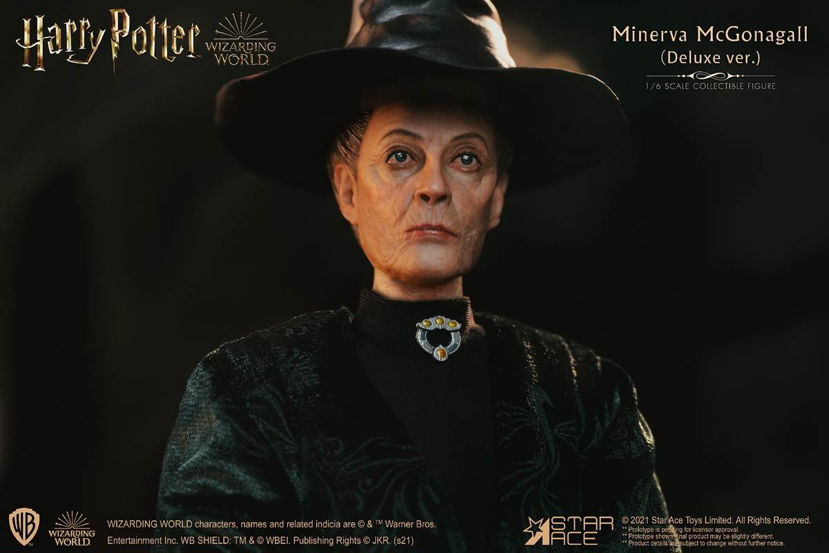 McGonagall (Harry Potter) 1/6
