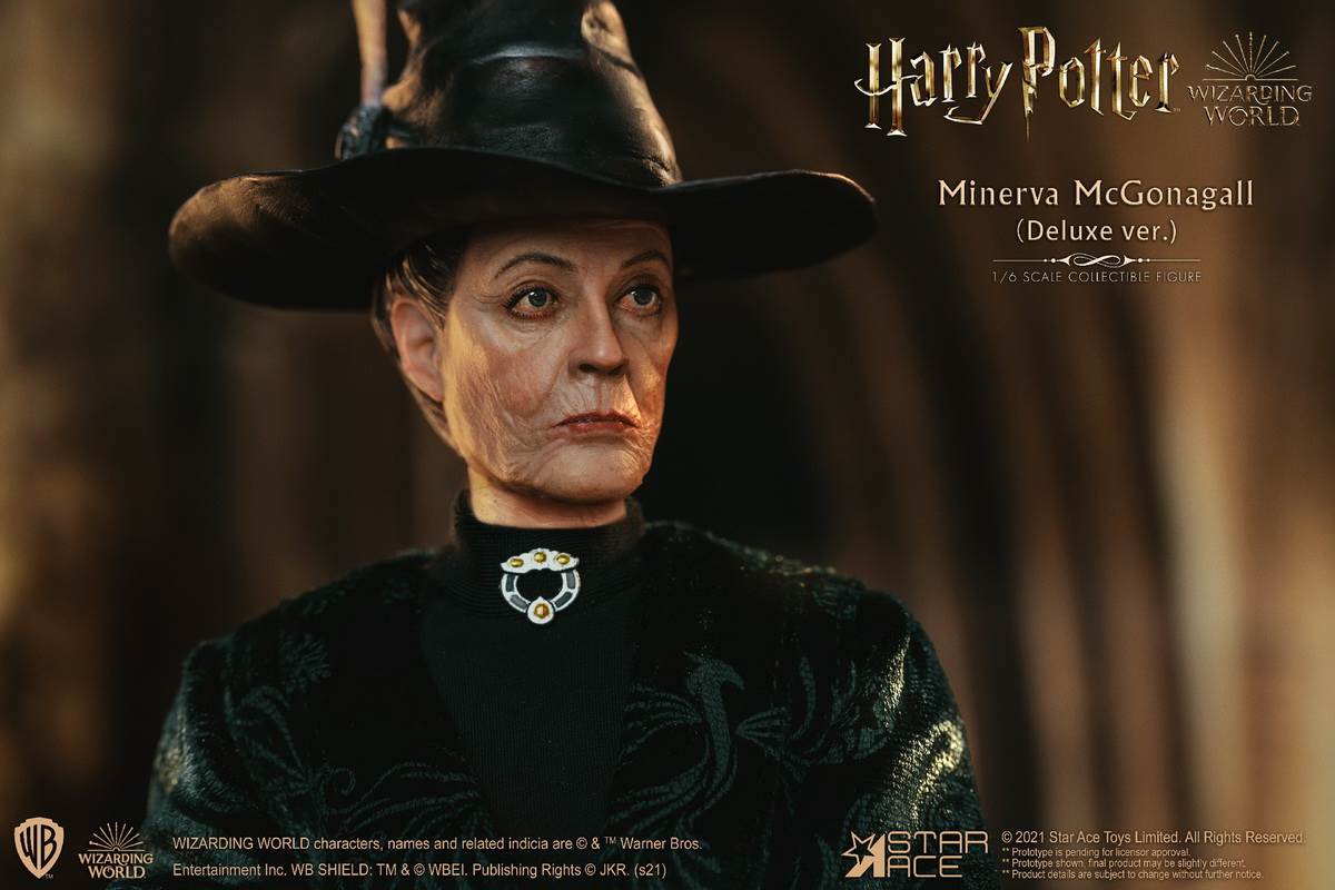 McGonagall (Harry Potter) 1/6