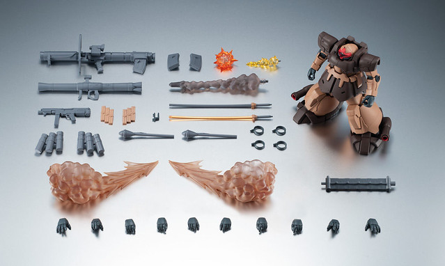 ROBOT SPIRIT <SIDE MS> MS-09F ver. ANIME