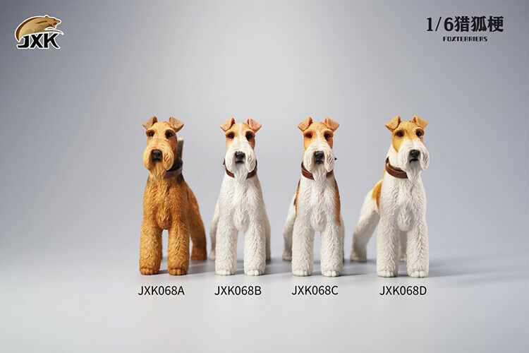 JXK068 - Foxterriers 1/6