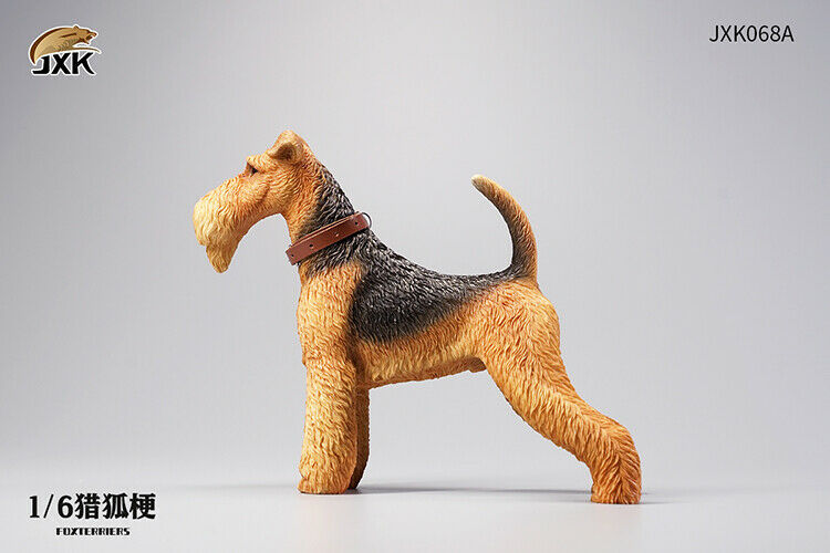 JXK068 - Foxterriers 1/6