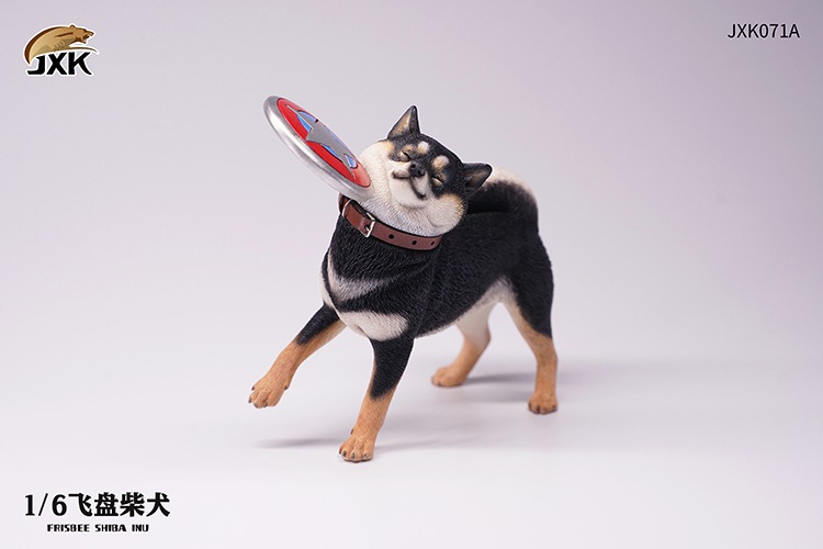 Frisbee Shiba Inu and Football 1/6