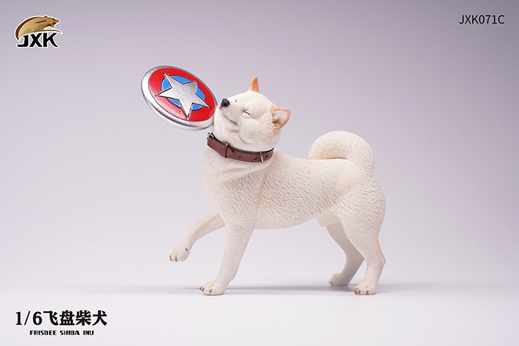 Frisbee Shiba Inu and Football 1/6