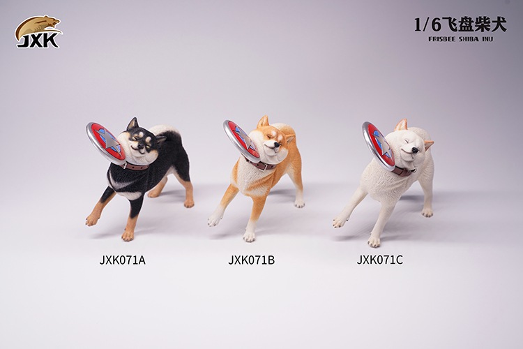 Frisbee Shiba Inu and Football 1/6