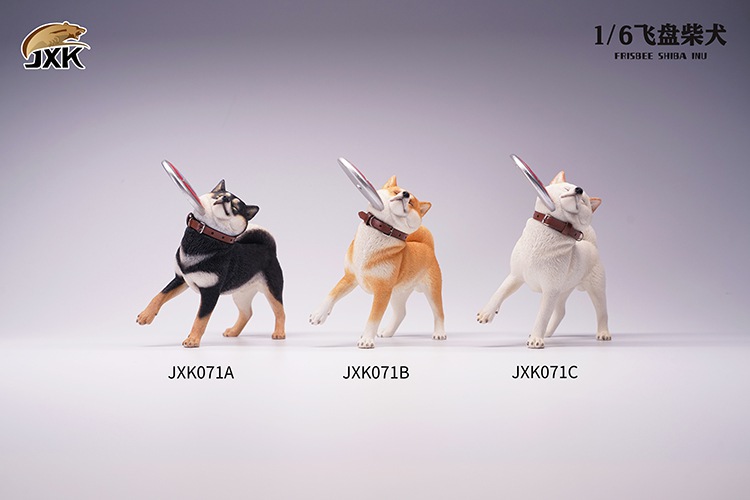 Frisbee Shiba Inu and Football 1/6