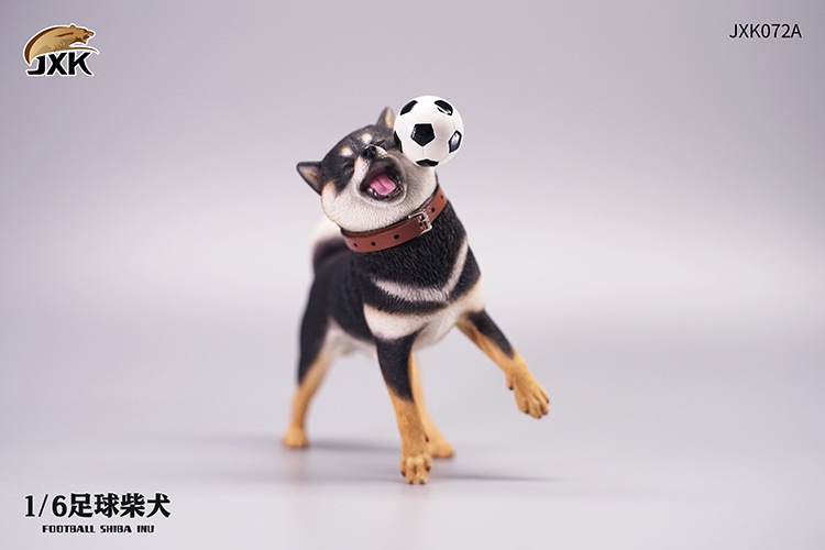 Frisbee Shiba Inu and Football 1/6