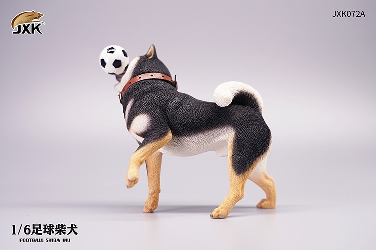Frisbee Shiba Inu and Football 1/6