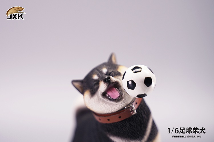 Frisbee Shiba Inu and Football 1/6