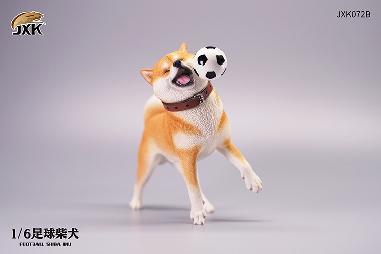 Frisbee Shiba Inu and Football 1/6